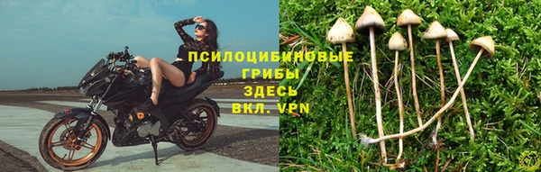 дурь Покров