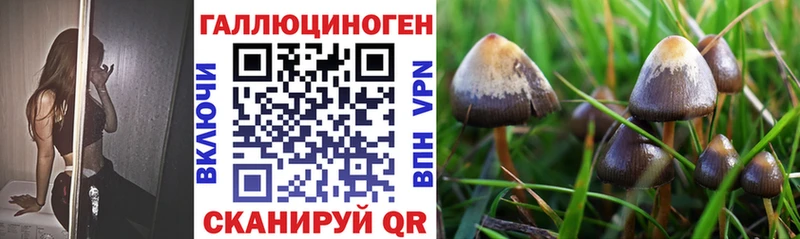 как найти наркотики  Нахабино  Галлюциногенные грибы ЛСД 